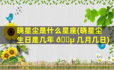 晓星尘是什么星座(晓星尘生日是几年 🐵 几月几日)